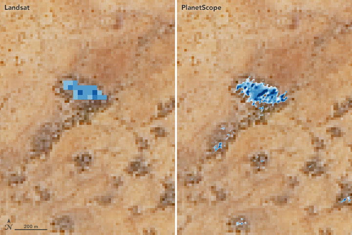 Scouting Watering Holes from Space - related image preview
