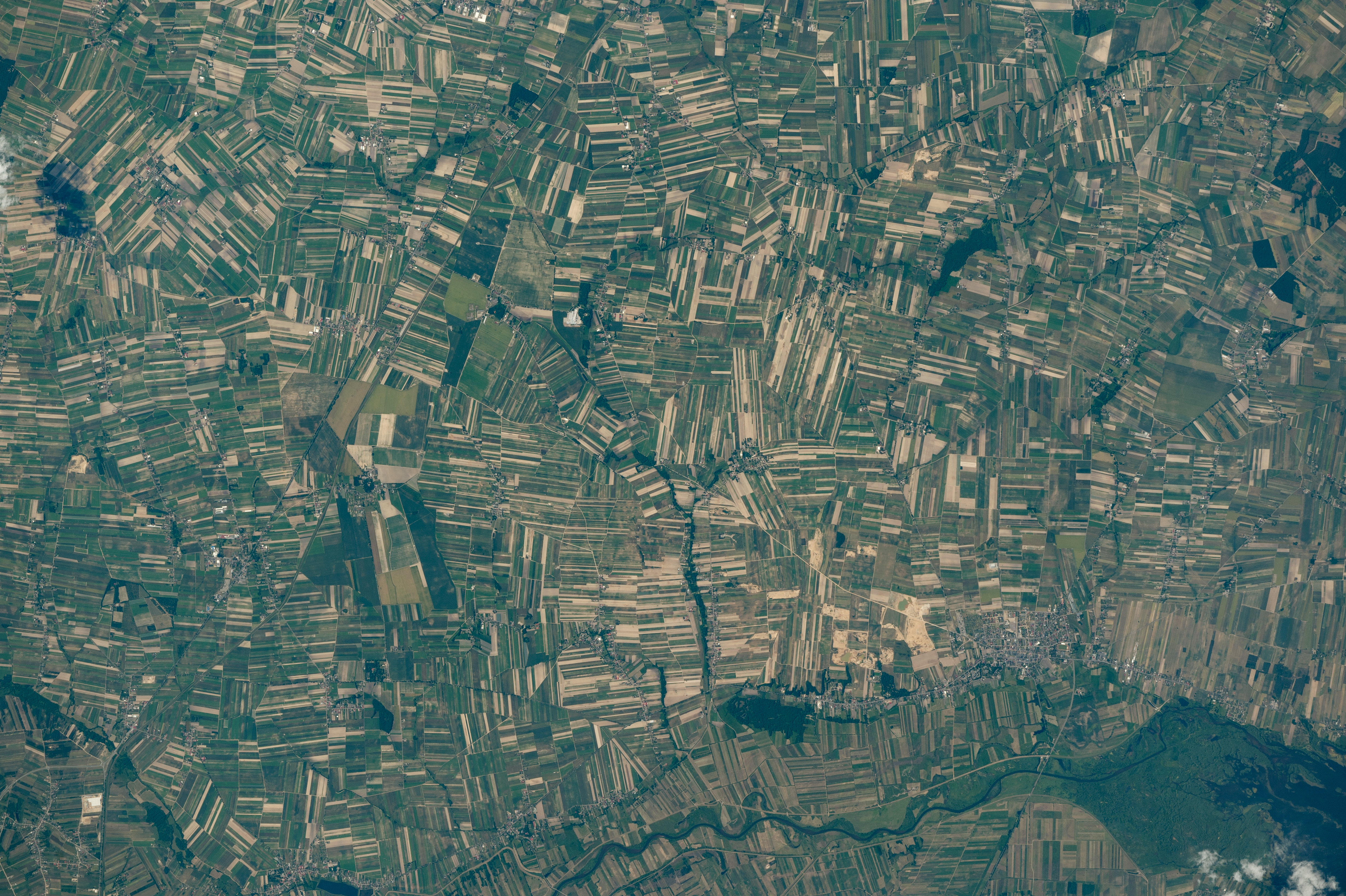Agriculture Fields in Central Poland - related image preview