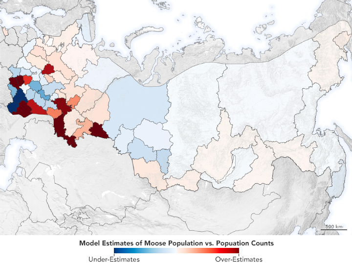 Mapping Moose Populations in Russia - related image preview
