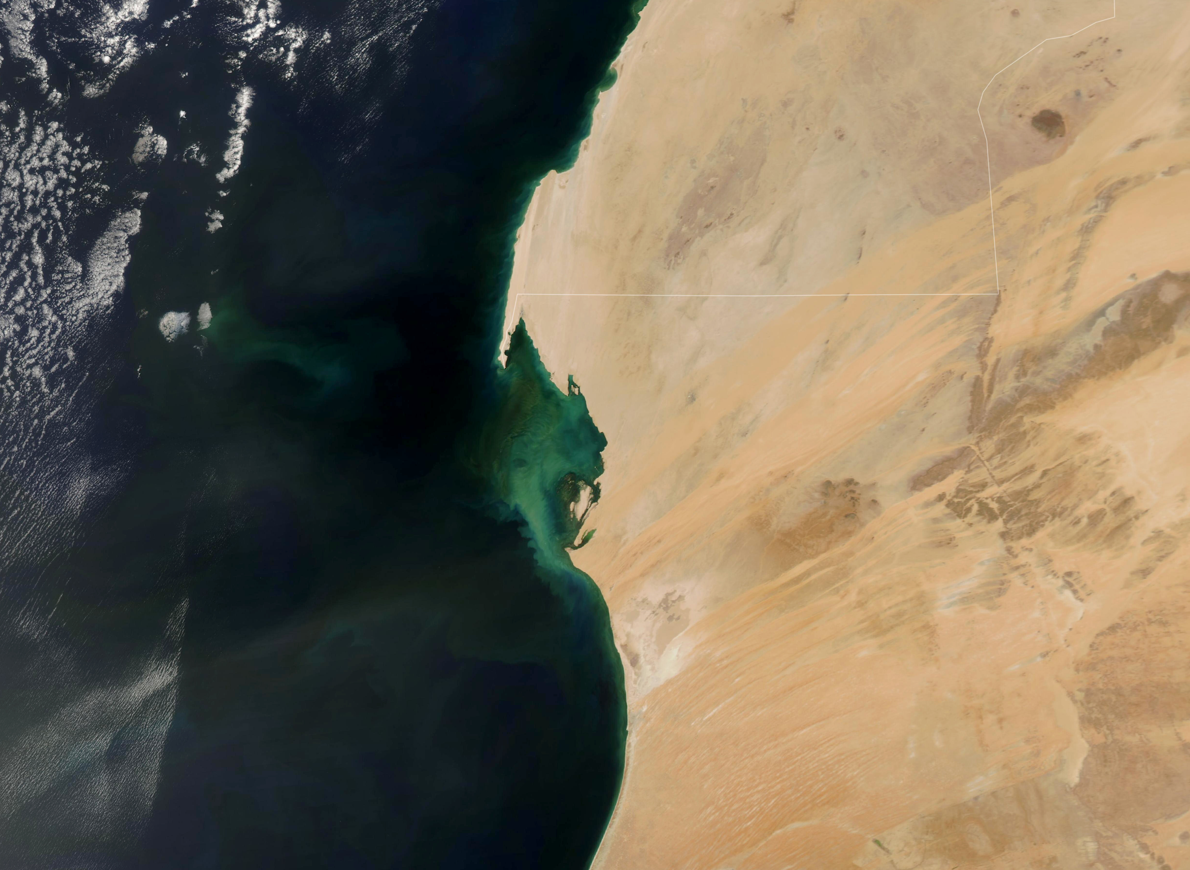 Perma-Blooms off Mauritania - related image preview