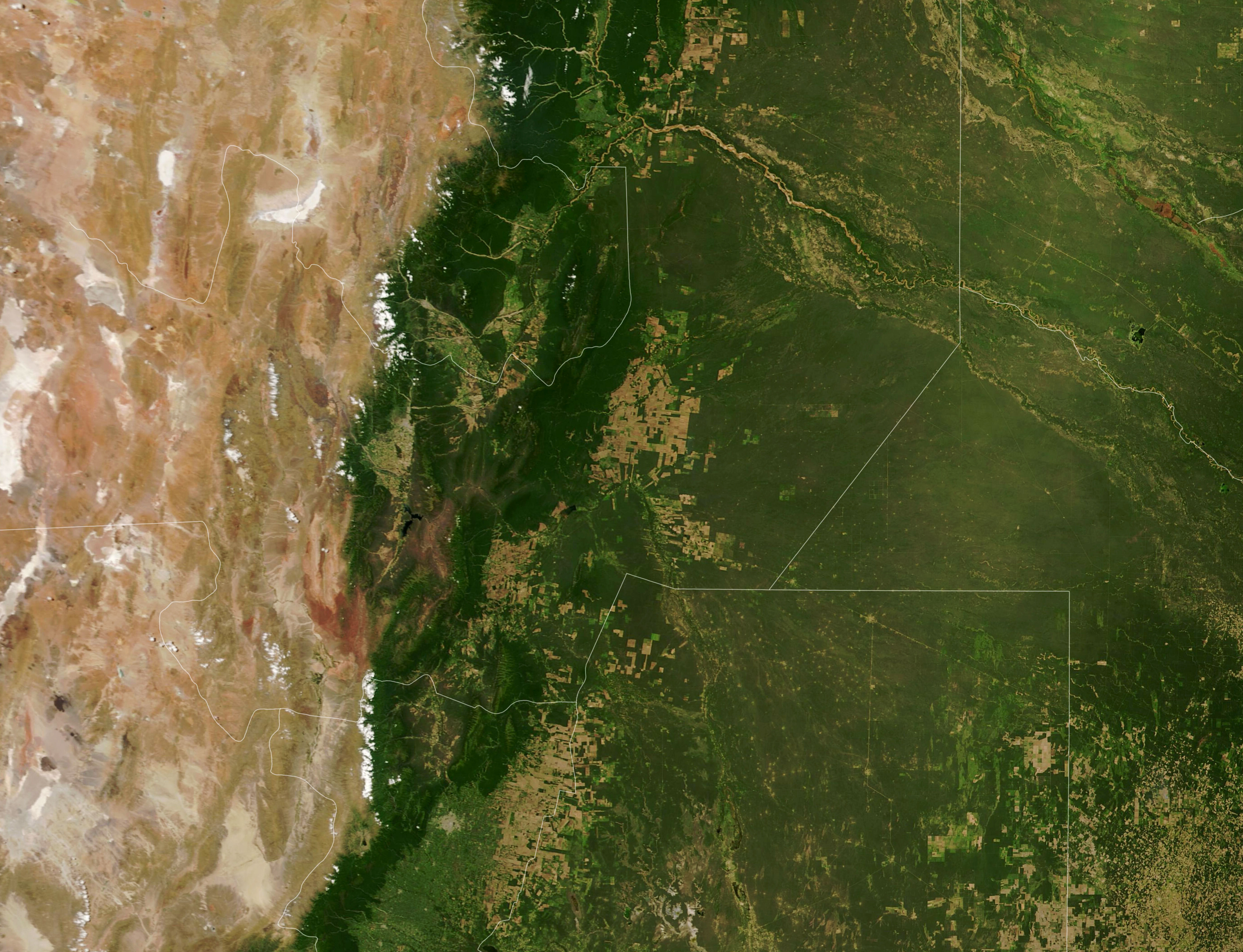 Deforestation in Argentina’s Gran Chaco - related image preview