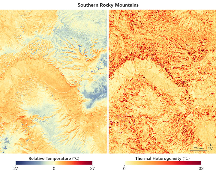 Temperatures Predict Bird Biodiversity - related image preview