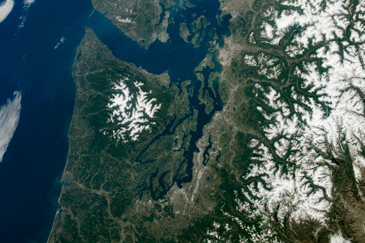 Pacific Northwest Bathed in Green and White - related image preview