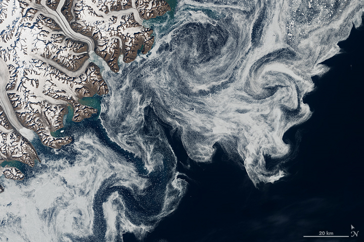 Sea Ice in Denmark Strait - related image preview