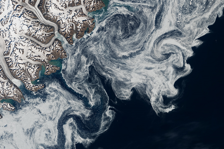 Sea Ice in Denmark Strait