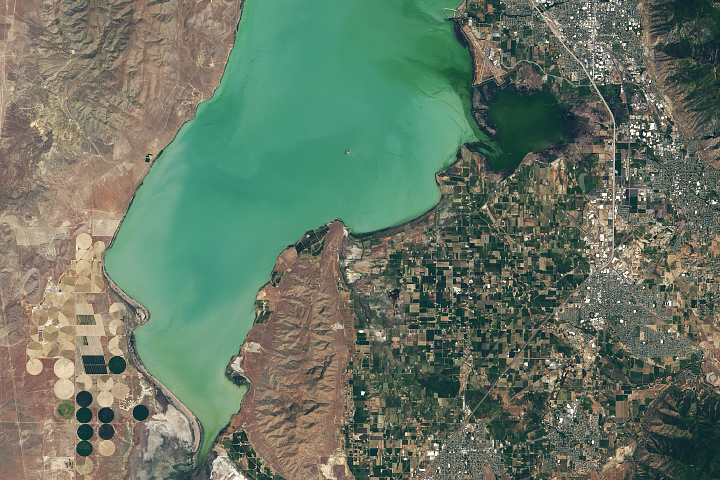 Early Detection of Algae Yields Savings - selected image