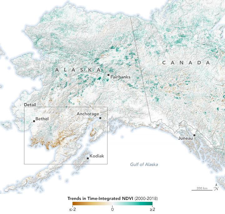 Alaska’s Vegetation is Changing Dramatically