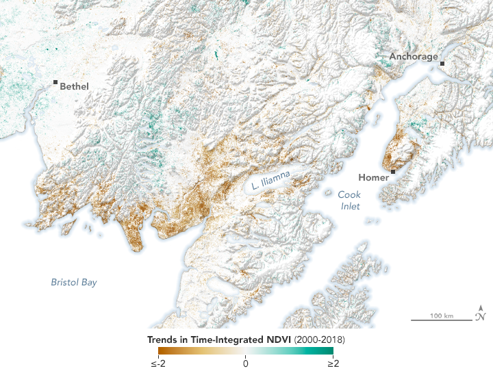 Alaska’s Vegetation is Changing Dramatically - related image preview