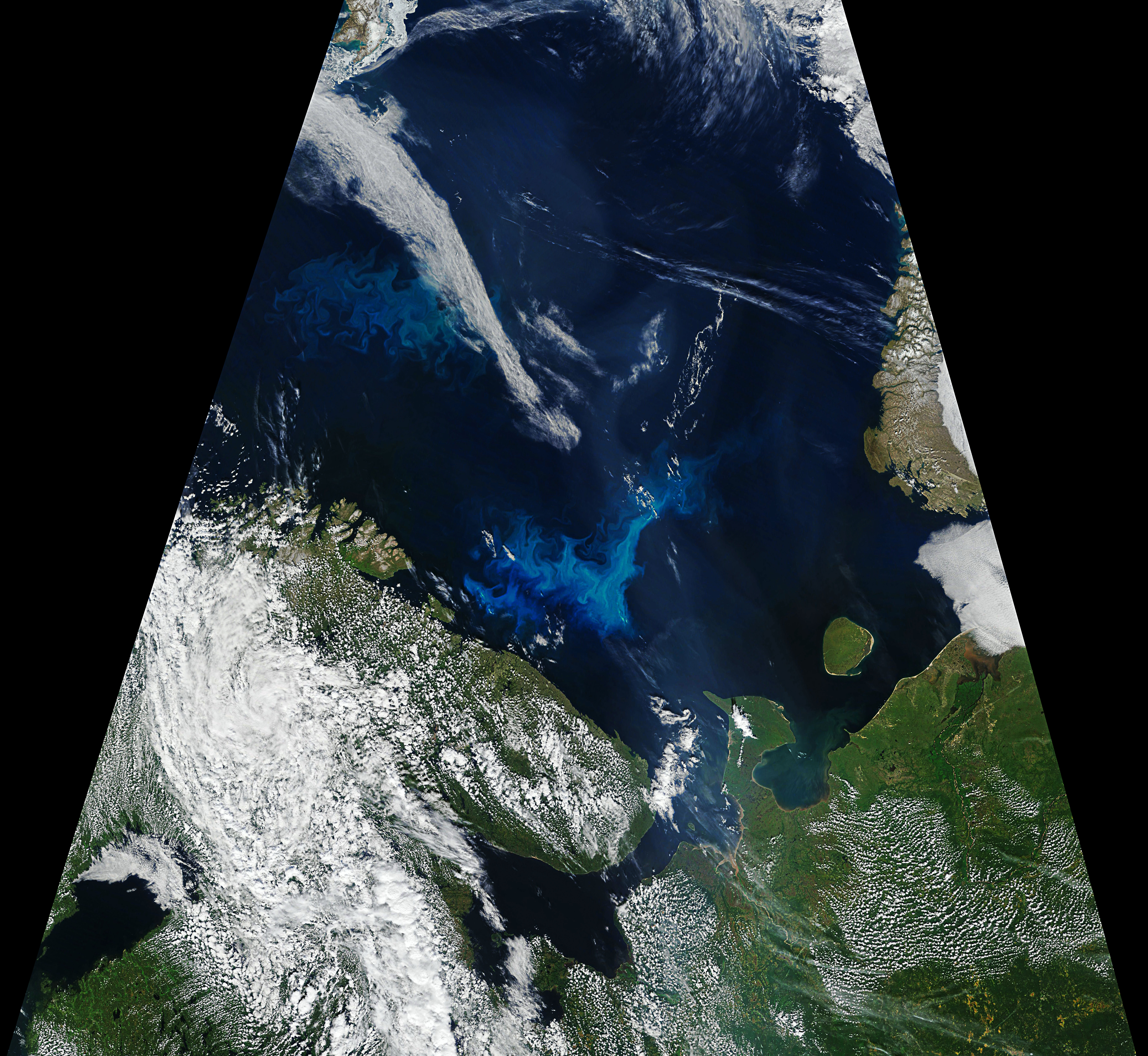 Phytoplankton Surge in Arctic Waters - related image preview