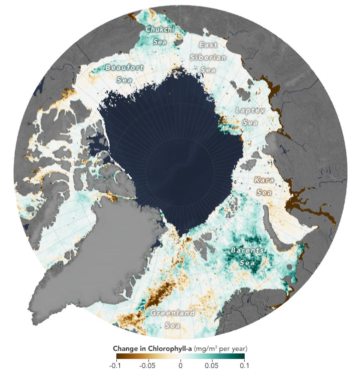 Phytoplankton Surge in Arctic Waters - related image preview