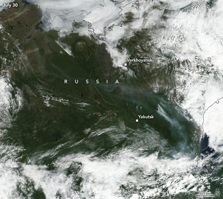 Another Intense Summer of Fires in Siberia