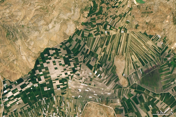 Farming in Turkey’s Mountains - related image preview
