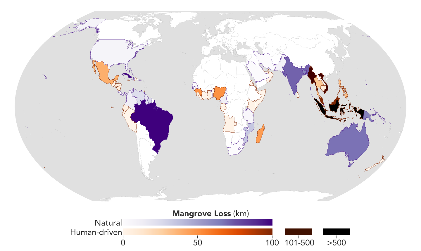 Mapping the Roots of Mangrove Loss - related image preview