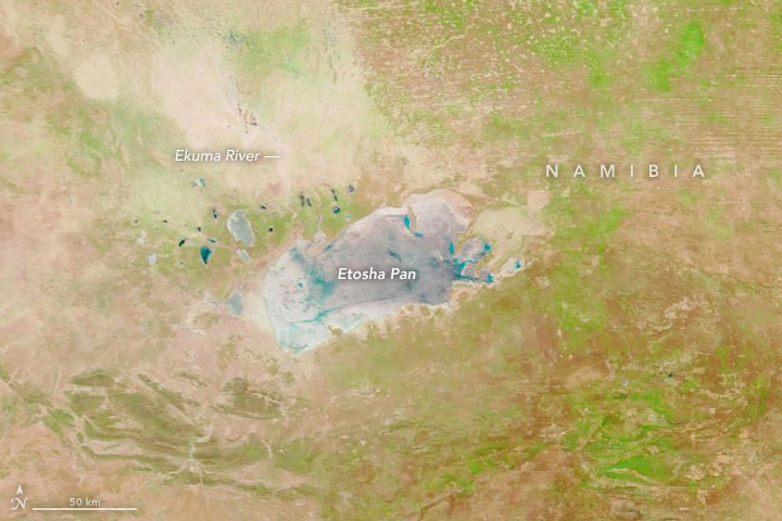 Cycles of Wet and Dry in Etosha Pan - related image preview