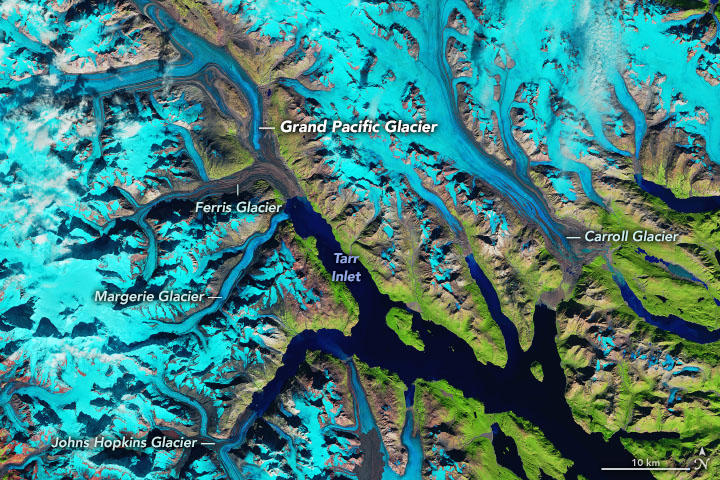 Where Ice Still Flows into Glacier Bay