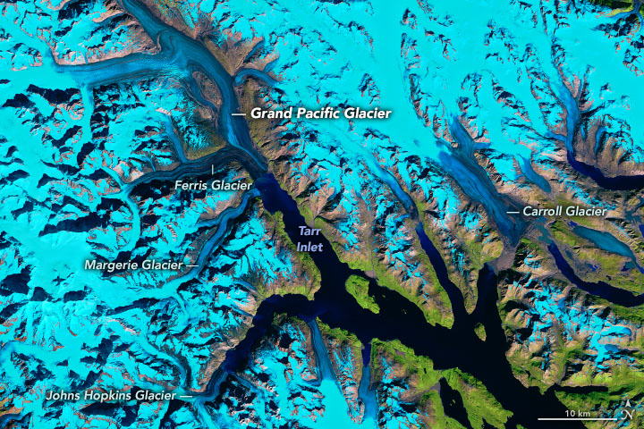 Where Ice Still Flows into Glacier Bay