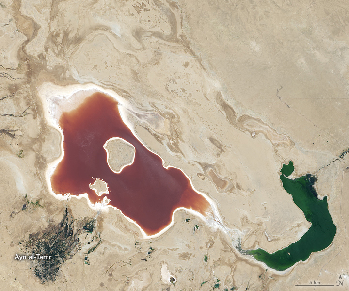 Iraq Lakes Bounce Back