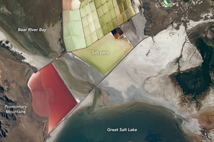 Coloring the Great Salt Lake