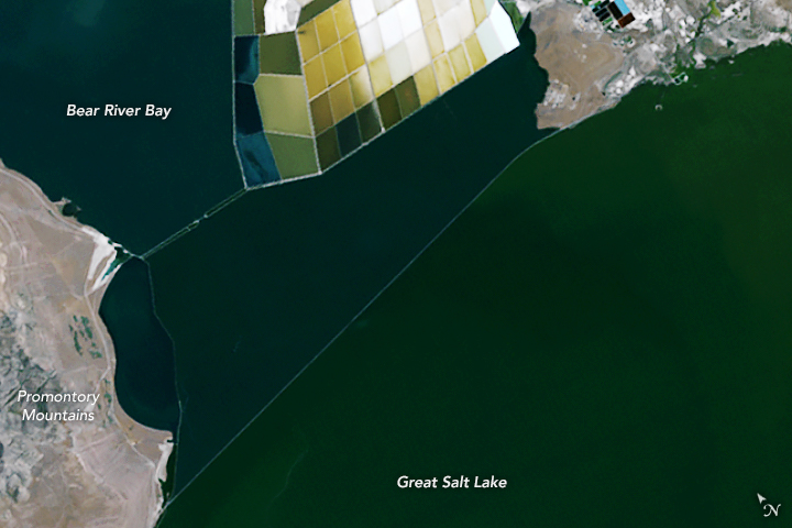 Coloring the Great Salt Lake - related image preview