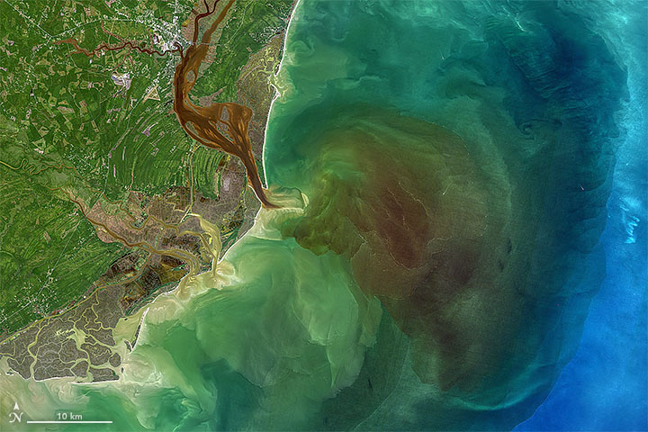 Stained Winyah Bay - related image preview