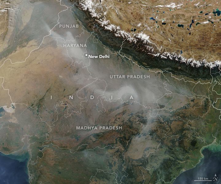 A Busy Season for Crop Fires in Northwestern India - related image preview