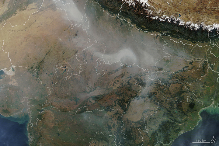 A Busy Season for Crop Fires in Northwestern India - related image preview
