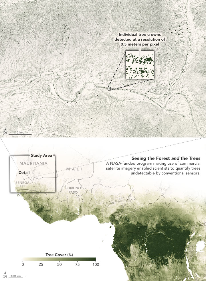 Counting Trees in Africa’s Drylands - related image preview