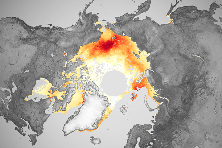 The Long Decline of Arctic Sea Ice