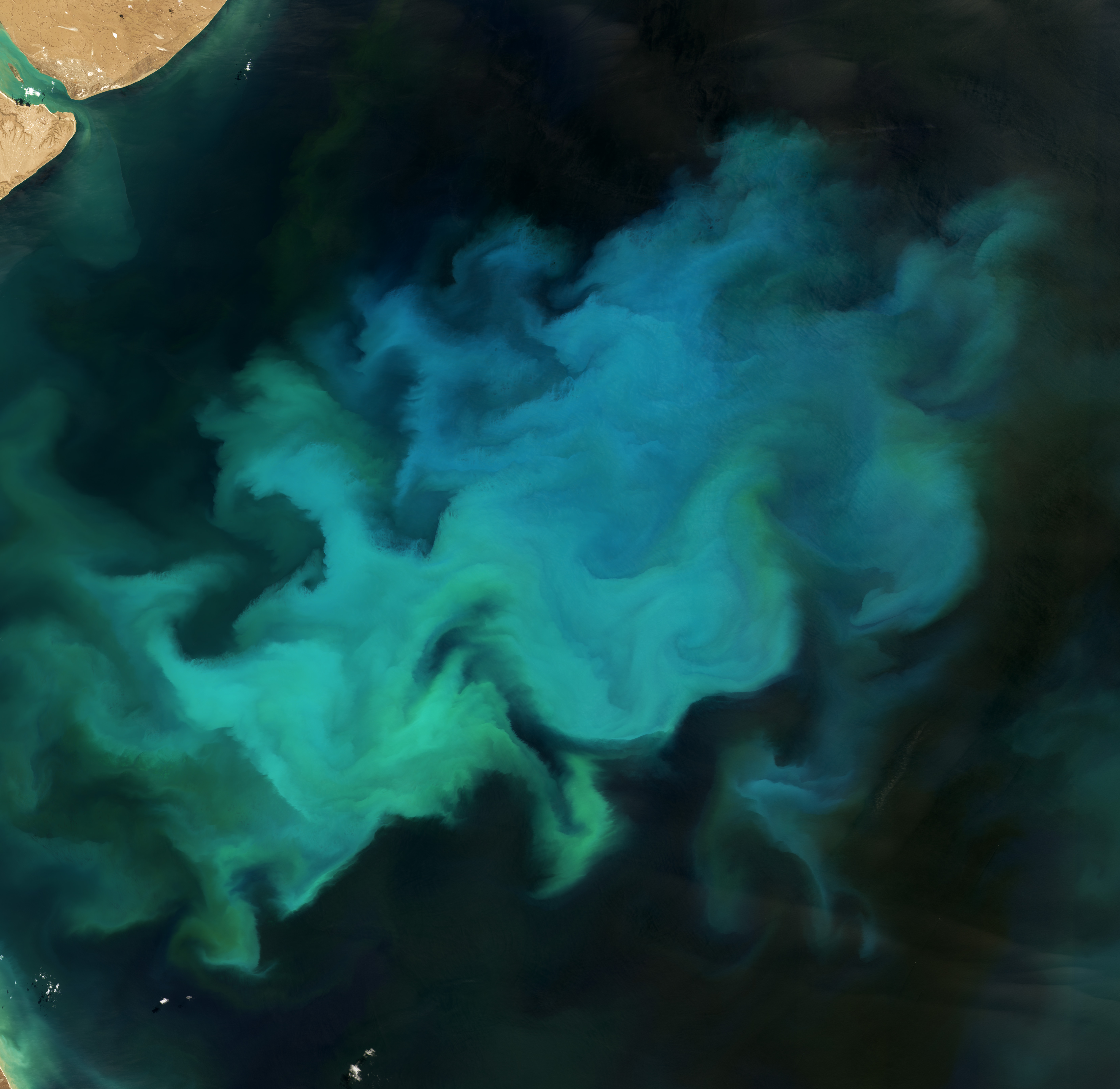 Phytoplankton Factory in the Argentine Sea - related image preview