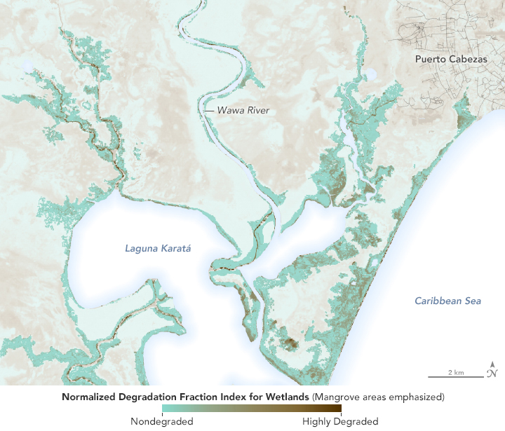 2020 Hurricanes Damage Vulnerable Mangroves