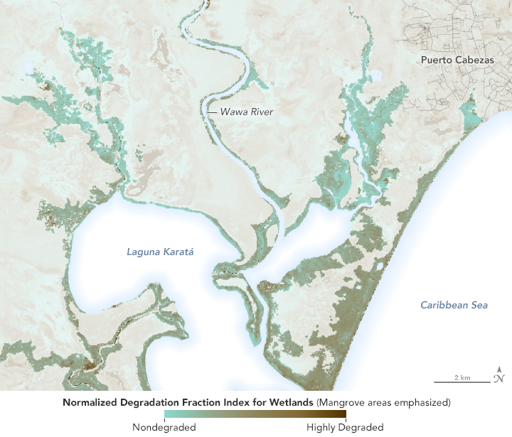 2020 Hurricanes Damage Vulnerable Mangroves
