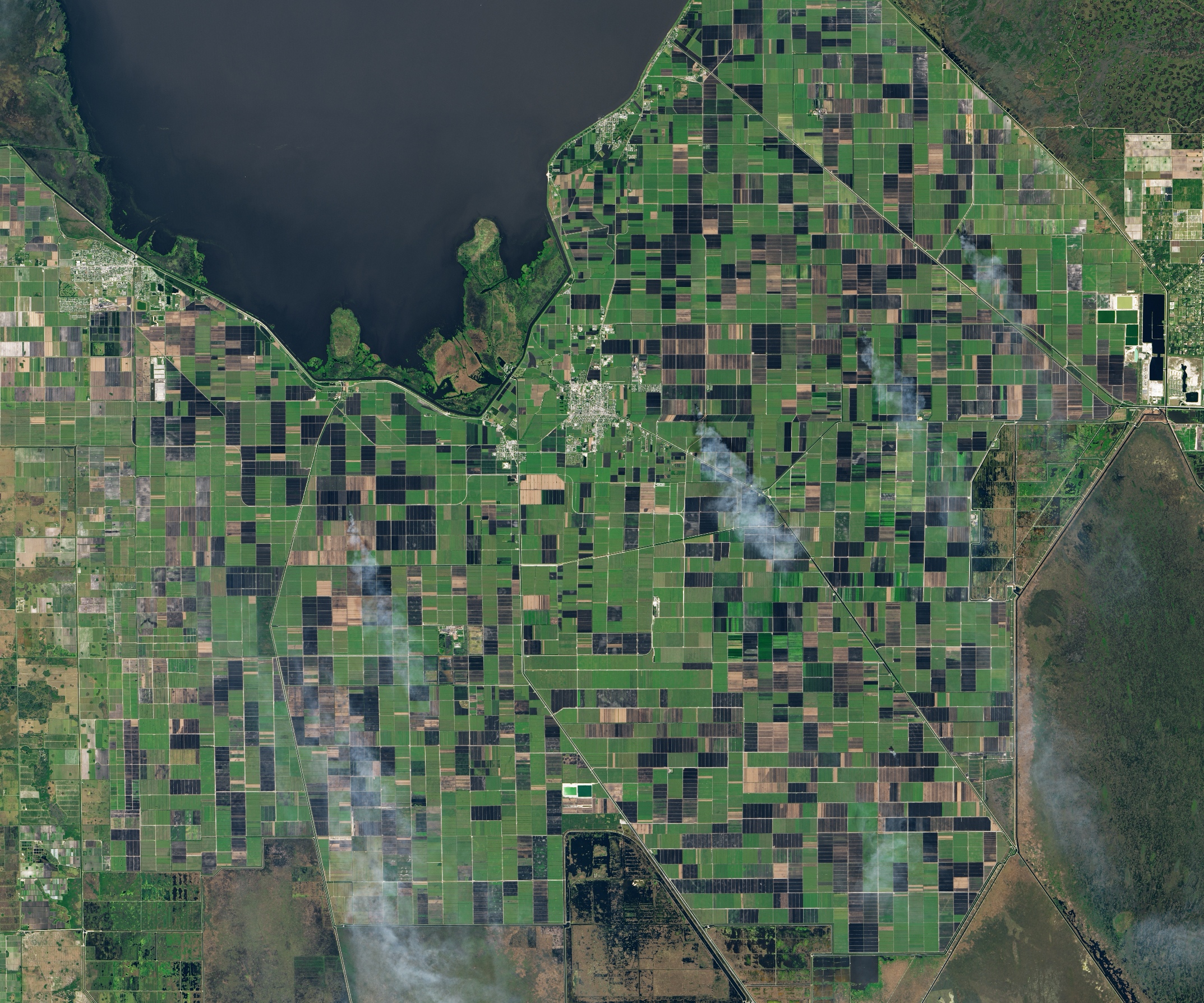 Smoking Sugar Fields in South Florida - related image preview