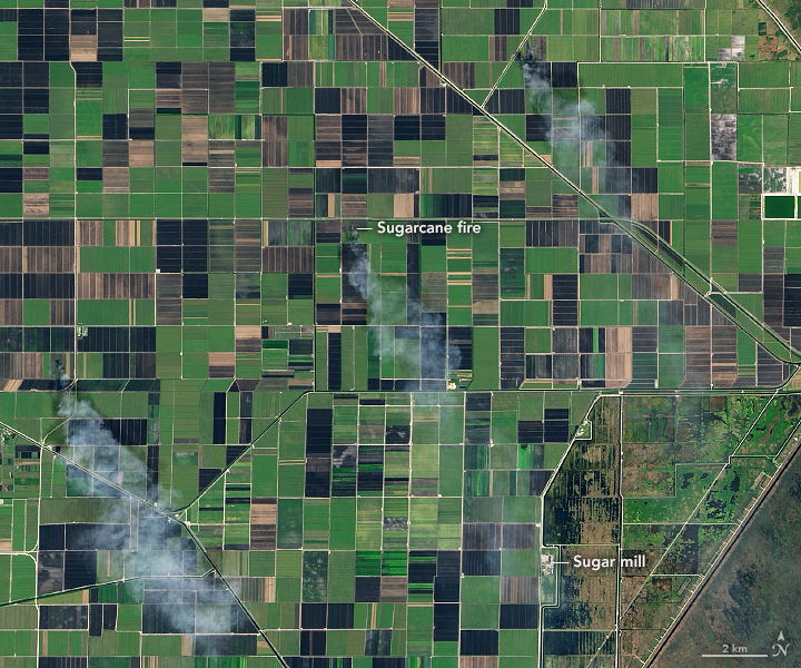 Smoking Sugar Fields in South Florida - related image preview
