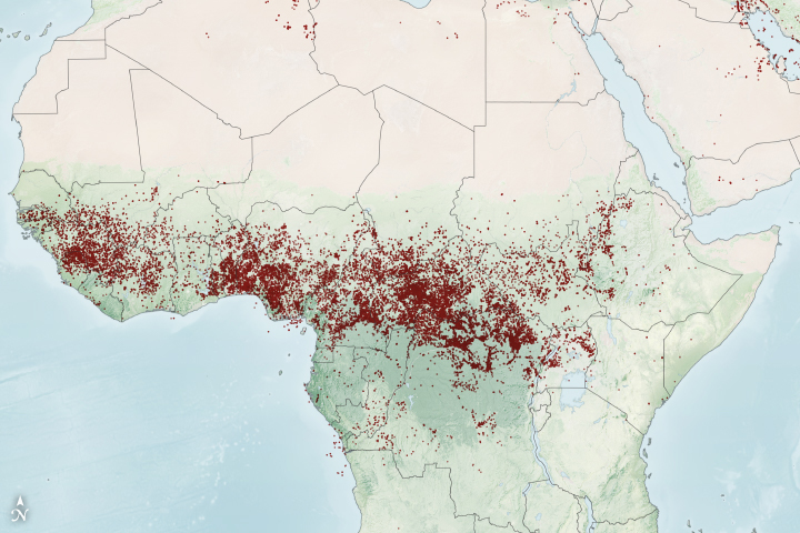 Reduced Fires Lead to Some Air Quality Improvements in Africa - related image preview