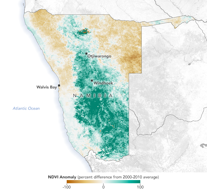 Abundant Rain Turns Namibia Green - related image preview