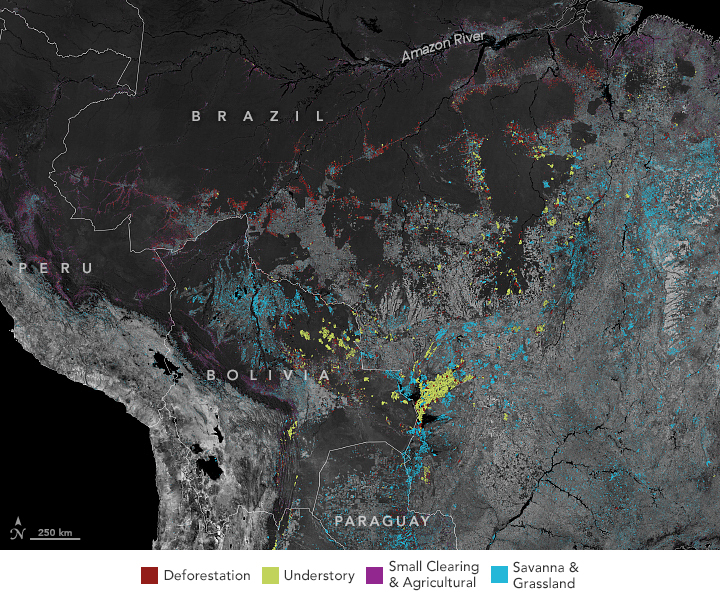 Fires Raged in the Amazon Again in 2020