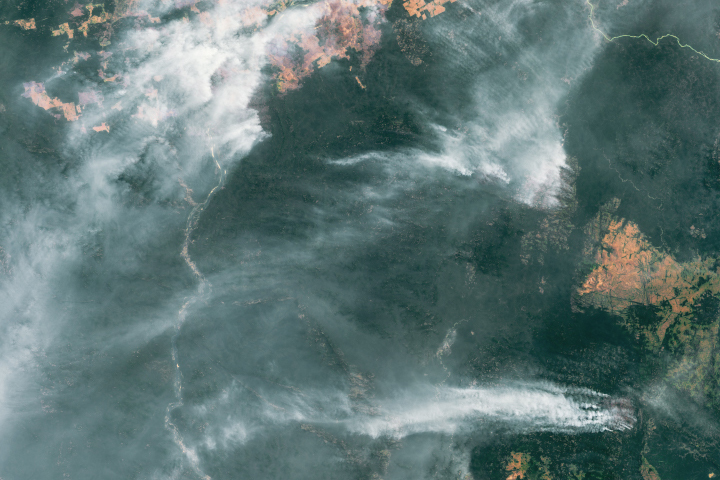 Fires Raged in the Amazon Again in 2020 - selected image