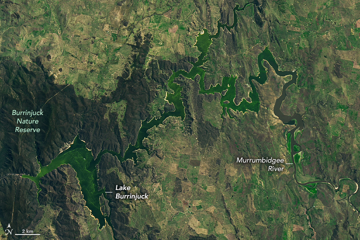 Blue-green Algae at Lake Burrinjuck