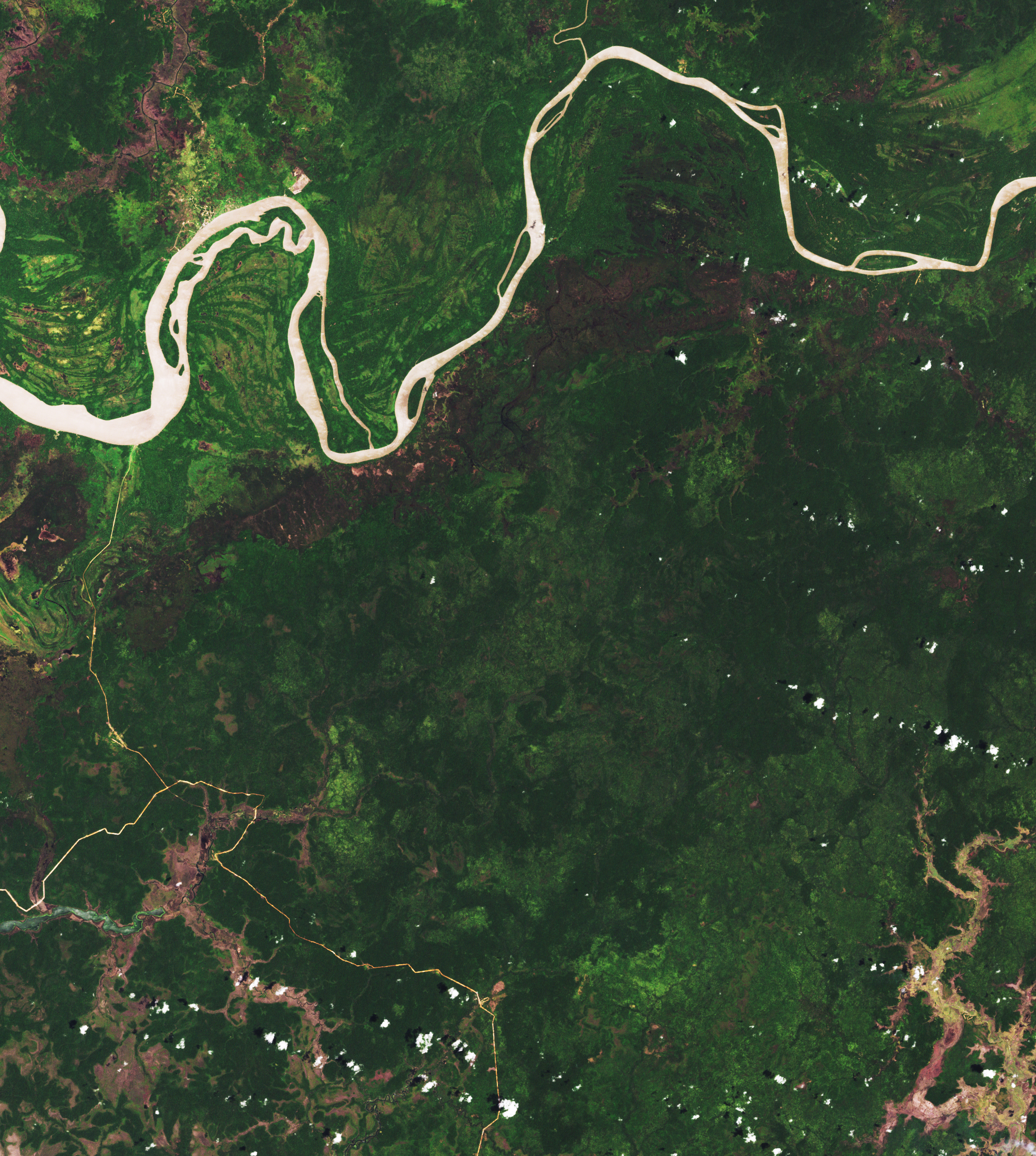 Deforestation in Papua - related image preview
