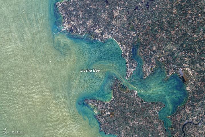 Patterns Around Leizhou Peninsula - related image preview