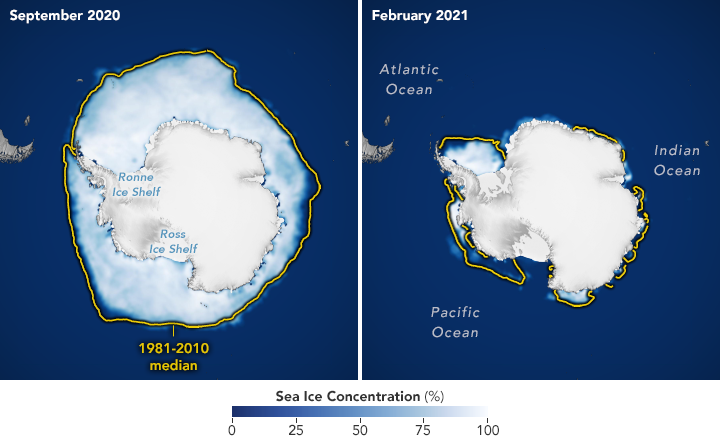 Sea Ice Highs and Lows - related image preview