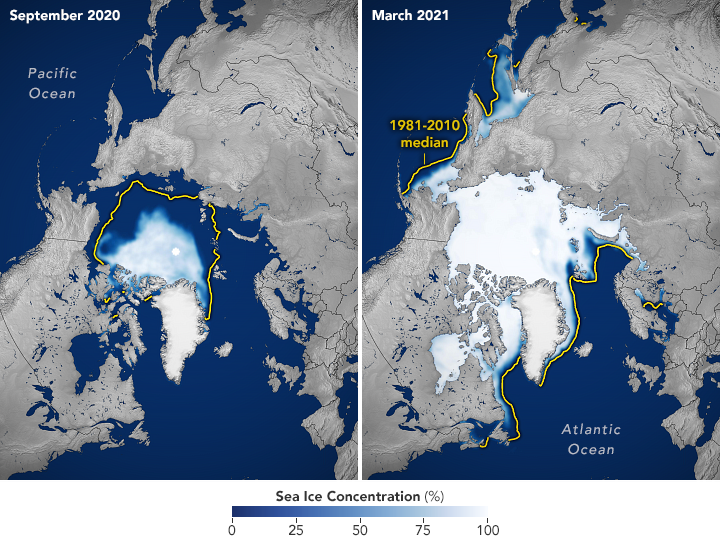 Sea Ice Highs and Lows