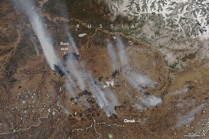 Wildfires and Smoke in Siberia