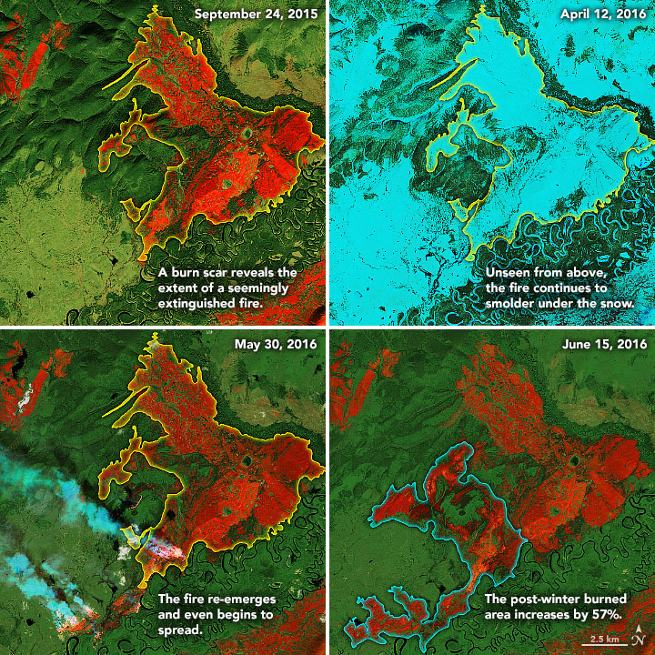 Overwintering Fires on the Rise