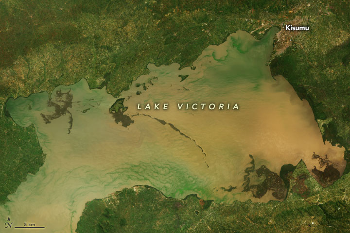Lake Victoria’s Rising Waters