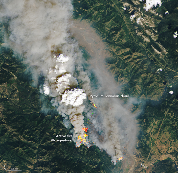 Eric Weber Viral: Canadian Wildfires Satellite View