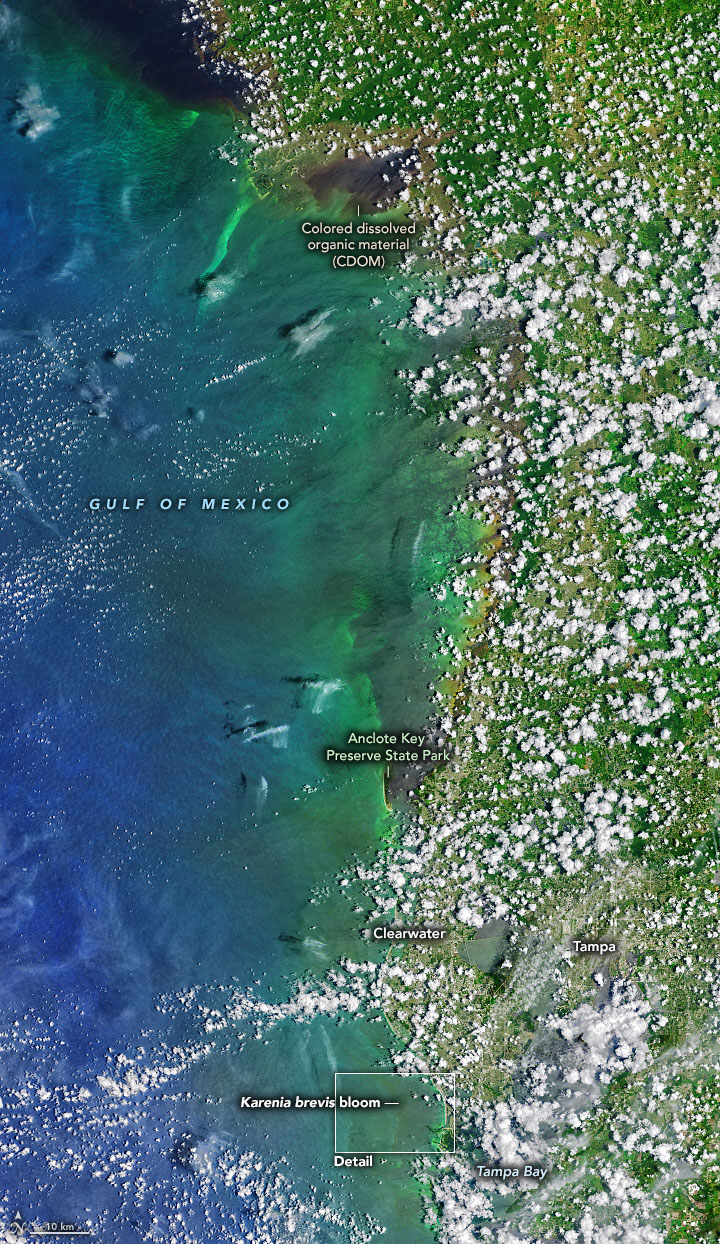 Algae Blooms Florida Map Almeda Malissia