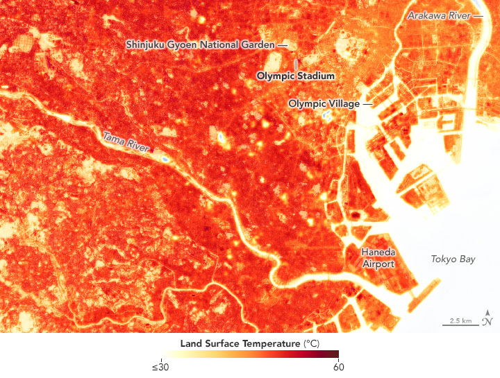 Climate and Weather in Tokyo