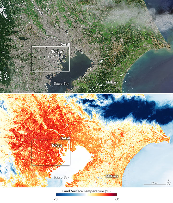 The Weather and Temperature in Tokyo by Month