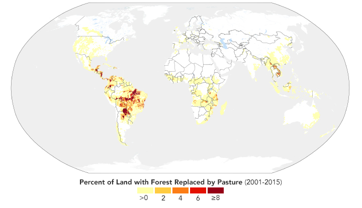 Sizing Up How Agriculture Connects to Deforestation - related image preview